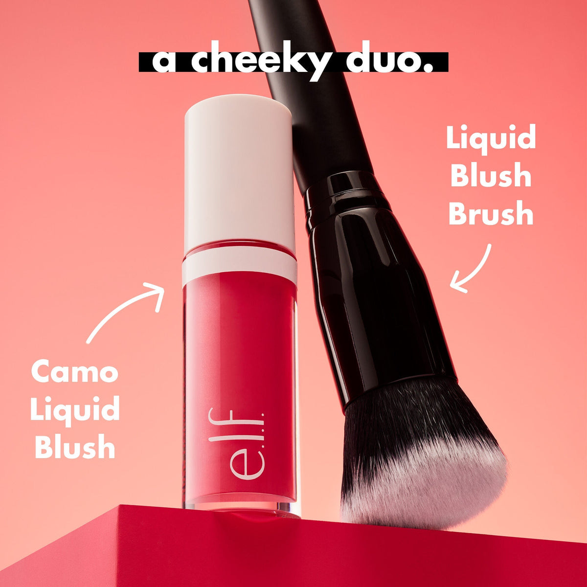 Dew it Up Blush Kit